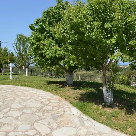 Ionian Sea Base Floor At Kyllini *